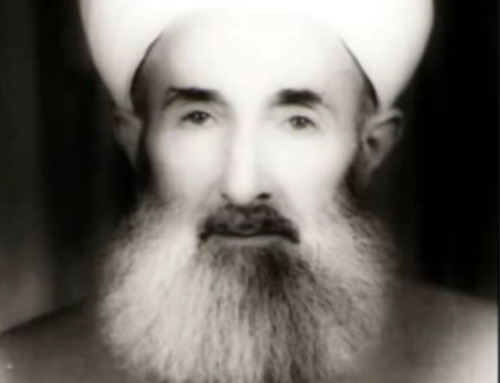 Shaykh Abdullah Ibn Muhammad Najib Sirajuddin al-Hussaini